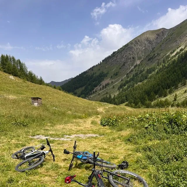 Trois VTT posés dans un alpage, face au versant boisé
